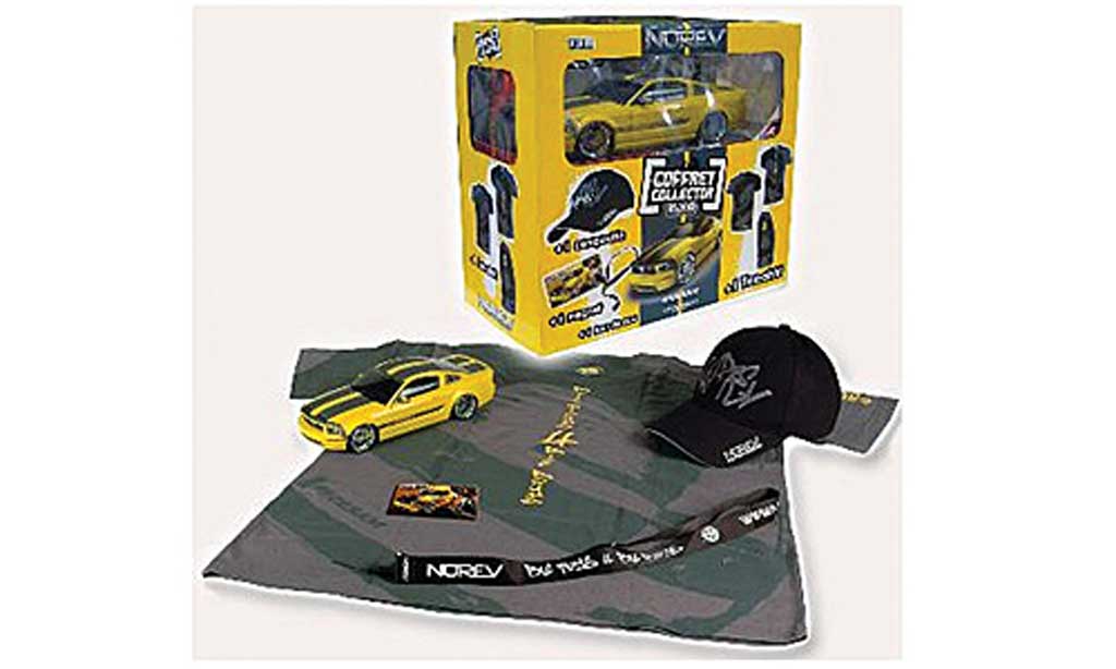 Ford Mustang Cesam 1/18 Norev Cesam by Parossoech giallo/grigio 2007 modellino in miniatura