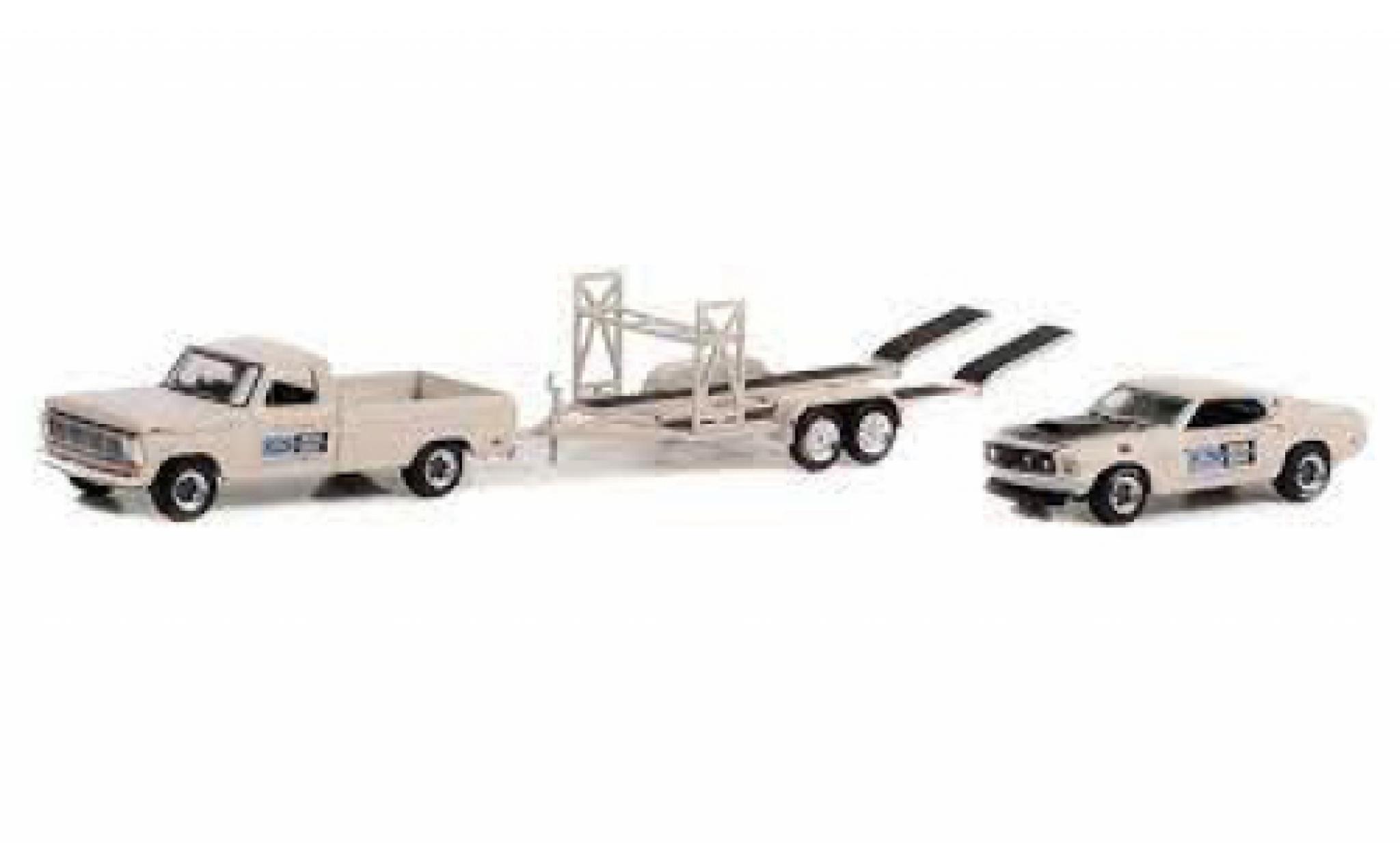 Ford F-1 1/64 Greenlight 00 Pete Peterson 1969 modellino in miniatura