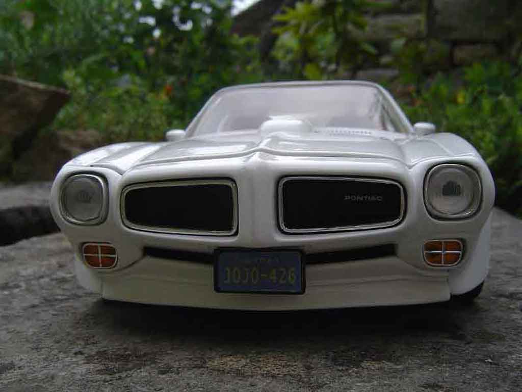 Pontiac Firebird 1973 1/18 Ertl 1973 trans am tuning modellino in miniatura