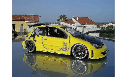 Peugeot 206 WRC 1/18 Solido tuning giallo modellini auto