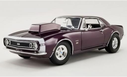 Chevrolet Camaro 1/18 ACME SS Purple Haze lila/bianco 1967 modellino in miniatura