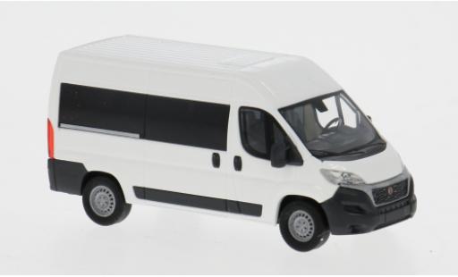 Fiat Ducato 1/87 Busch Bus weiss 2014 1:87 modellino in miniatura