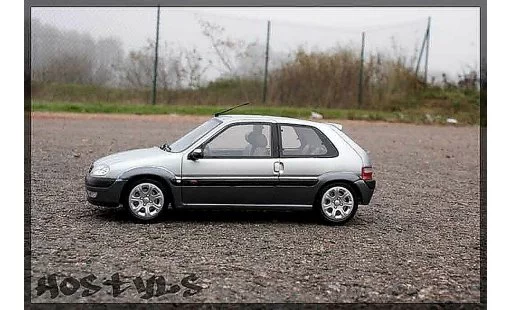 Citroen Saxo VTS 1/18 Ottomobile grigio metallized modellini auto