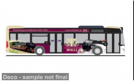 Mercedes Citaro 1/87 Rietze 2012 Mecklenburgische3 B&auml;derbahn Molli 1:87 modellino in miniatura
