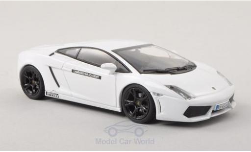 Lamborghini Gallardo LP560-4 1/43 Minichamps bianco Academy 2009 modellino in miniatura