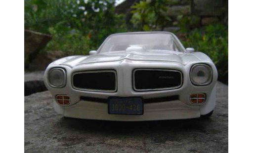 Pontiac Firebird 1973 1/18 Ertl trans am modellini auto